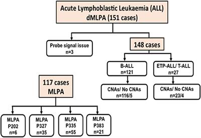 Rapid Identification of Key Copy Number Alterations in B- and T-Cell Acute Lymphoblastic Leukemia by Digital Multiplex Ligation-Dependent Probe Amplification